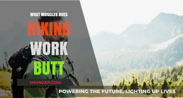 Hiking's Hidden Benefits: Sculpting Your Butt and Lower Body Muscles