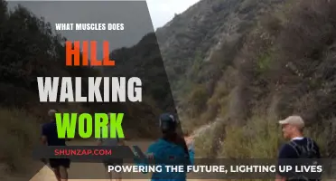 Hill Walking Benefits: Targeted Muscles for Strength and Endurance
