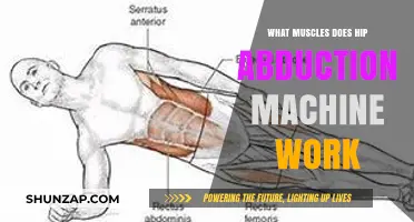 Hip Abduction Machine: Target Muscles and Workout Benefits Explained