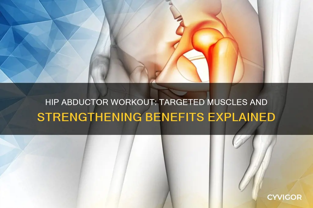 what muscles does hip abductor work