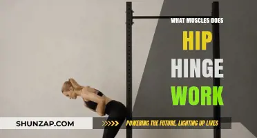 Hip Hinge Muscles: Unlocking Strength and Stability in Your Lower Body