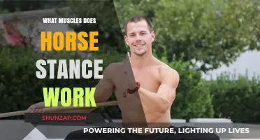 Horse Stance Benefits: Targeted Muscles and Strength Training Explained