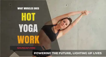 Hot Yoga Benefits: Targeted Muscles and Full-Body Strengthening Explained