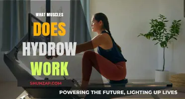 Hydrow's Full-Body Workout: Targeted Muscles and Fitness Benefits Explained