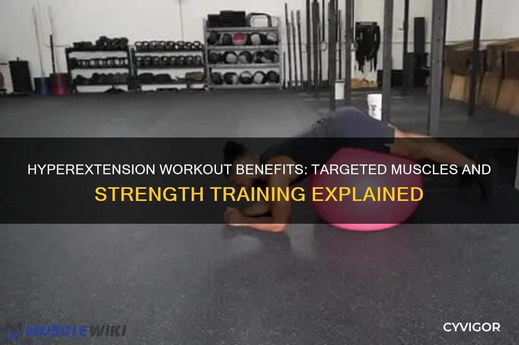 what muscles does hyperextension work