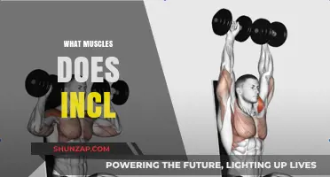 Incline Training: Targeting Upper Chest and Shoulder Muscles