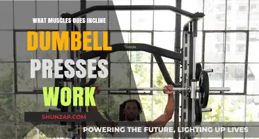 Incline Dumbbell Press: Targeted Muscles and Benefits Explained