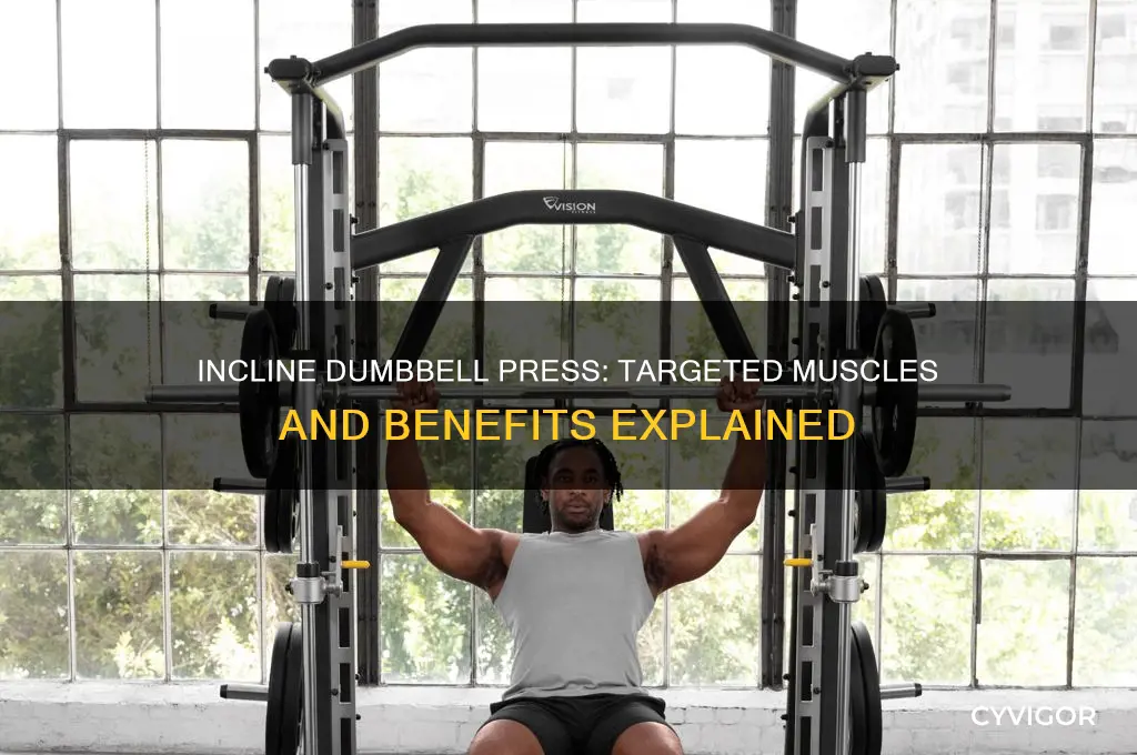 what muscles does incline dumbell presses work