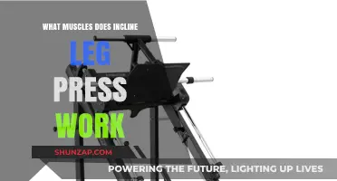 Incline Leg Press Muscles: Targeted Strength Training Benefits Explained