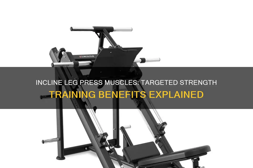 what muscles does incline leg press work
