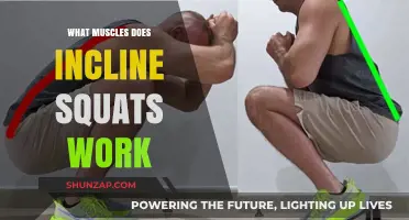Incline Squats: Target Muscles and Benefits for Lower Body Strength