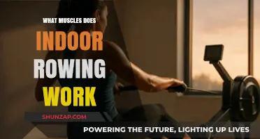 Indoor Rowing: A Full-Body Workout Targeting Key Muscle Groups