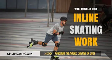 Inline Skating Workout: Targeted Muscles for Strength and Endurance