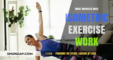 Isometric Exercises: Targeted Muscles and Strength-Building Benefits Explained