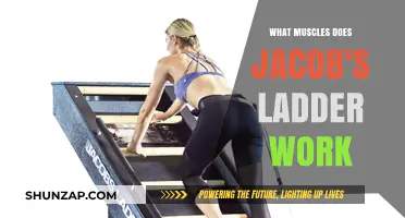 Jacob's Ladder Workout: Target Muscles and Full-Body Benefits Explained