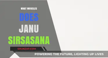 Yoga's Janu Sirsasana: Targeting Your Hamstrings and Hip Flexors