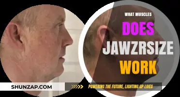 Jawzrsize Workout: Targeting Muscles for a Stronger, Defined Jawline