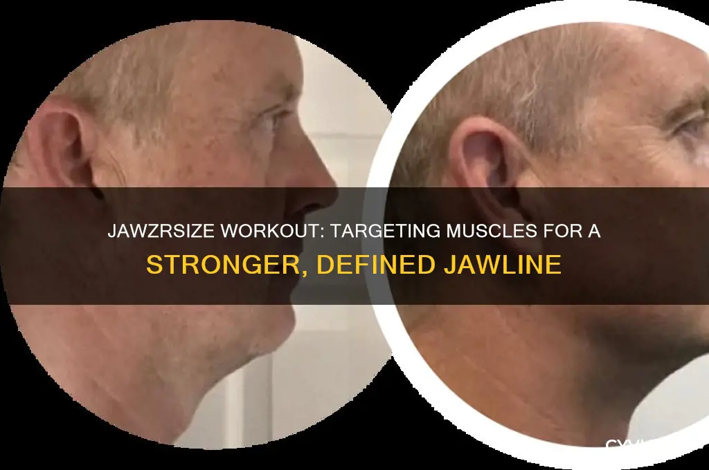 what muscles does jawzrsize work