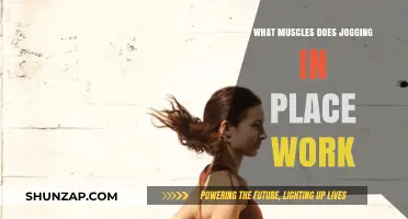 Jogging in Place: Targeted Muscles and Full-Body Benefits Explained