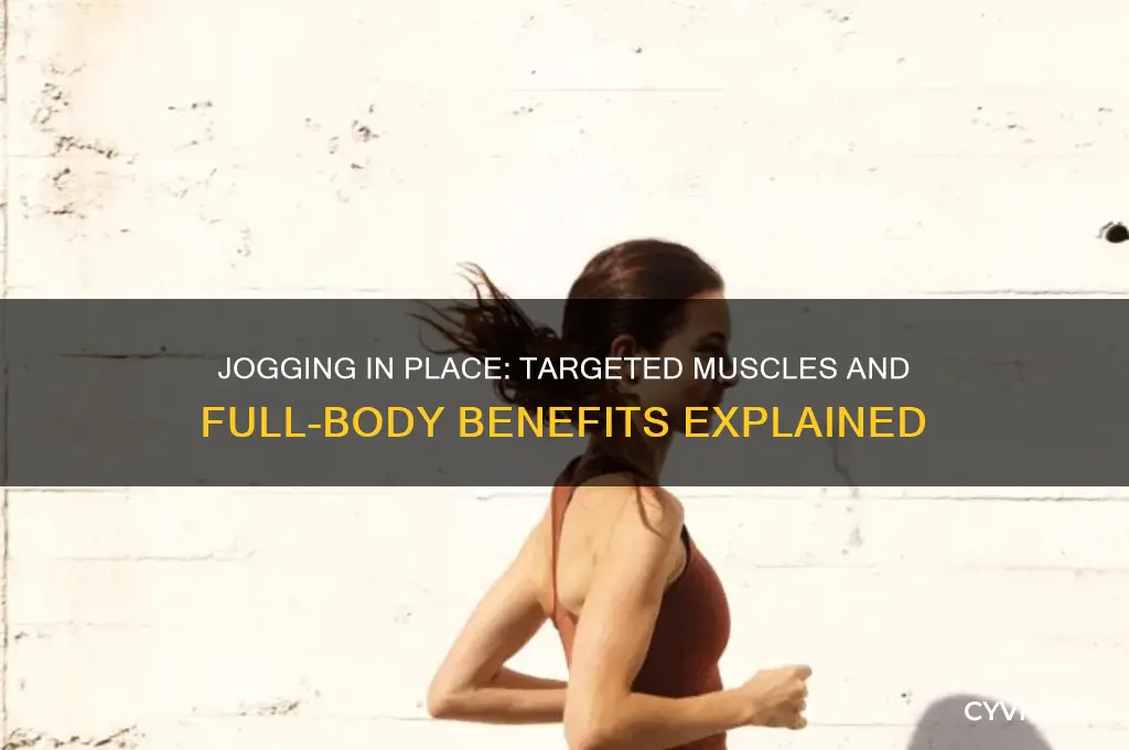 what muscles does jogging in place work