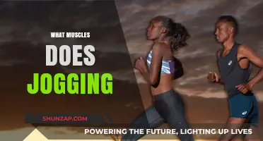 Jogging: Which Muscles Are Getting a Workout?