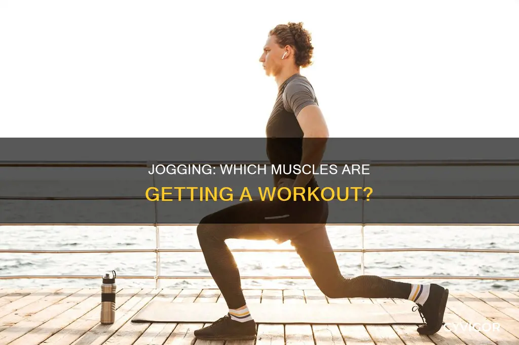 what muscles does jogging