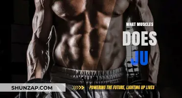 Ju-Jitsu: Unlocking the Ultimate Muscle Memory