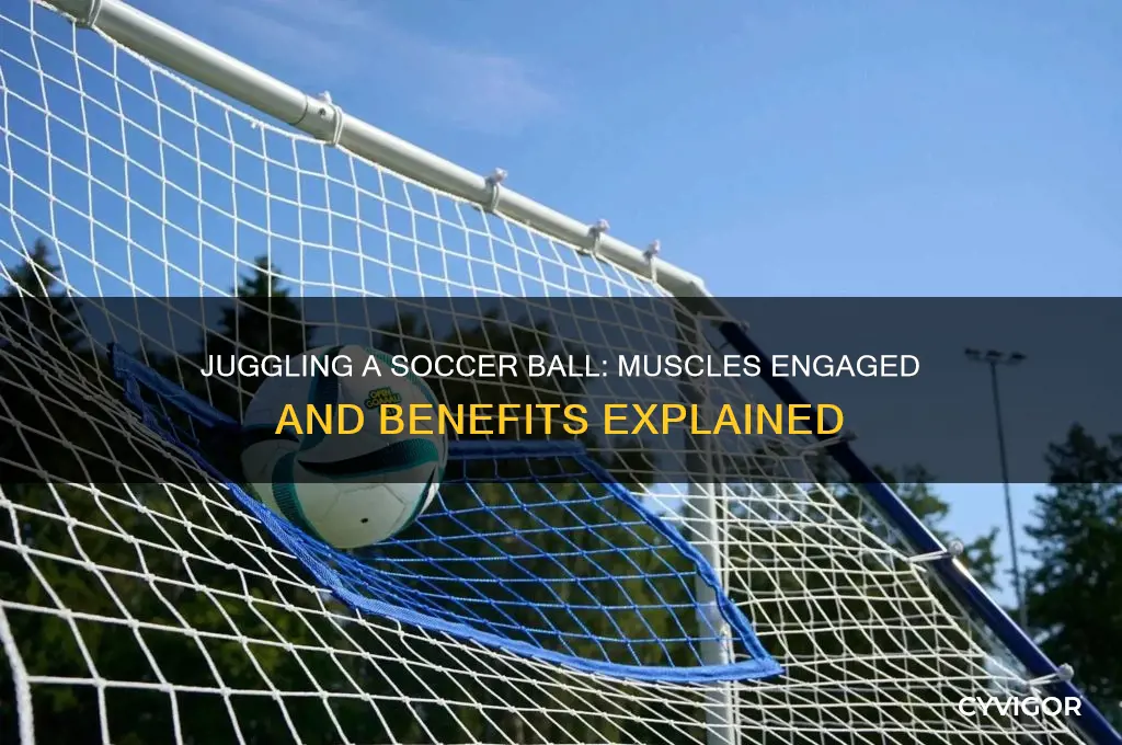 what muscles does juggling a soccer ball work