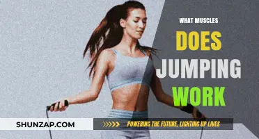 Jumping Workout Benefits: Targeted Muscles and Full-Body Engagement Explained