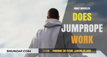 Jump Rope Workout Benefits: Targeted Muscles and Full-Body Fitness Explained