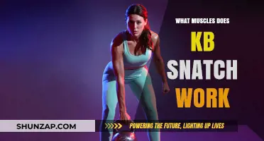 Kettlebell Snatch: Target Muscles and Full-Body Benefits Explained