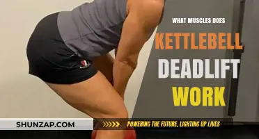 Kettlebell Deadlift Muscles: Targeted Strength Training Benefits Explained