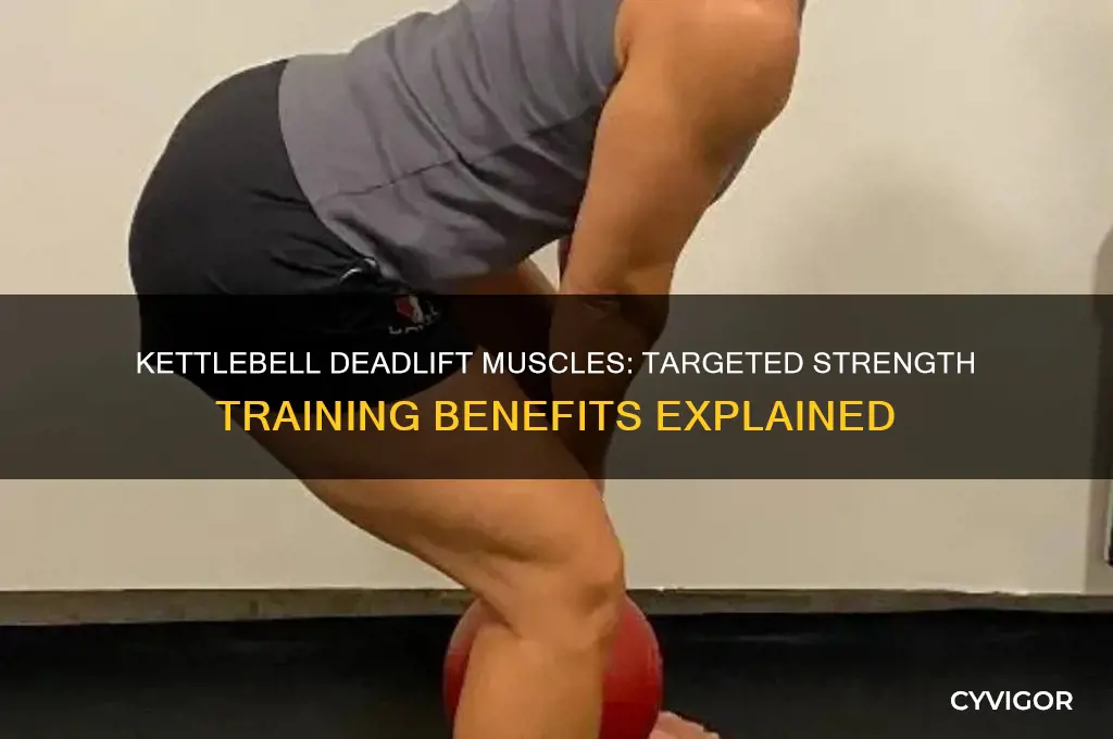 what muscles does kettlebell deadlift work