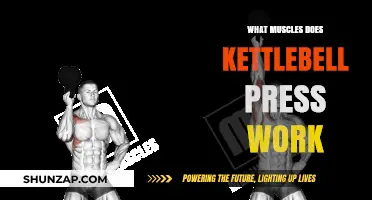 Kettlebell Press Muscles: Targeted Strength Training Benefits Explained