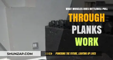 Kettlebell Pull-Through Planks: Targeted Muscles and Core Benefits Explained