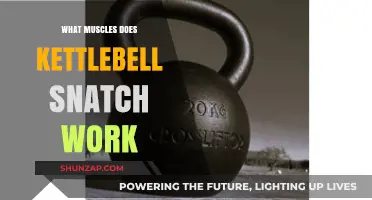 Kettlebell Snatch: Targeted Muscles and Full-Body Benefits Explained