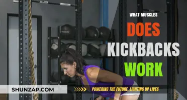 Kickbacks Workout Benefits: Targeted Muscles and Effective Techniques Explained