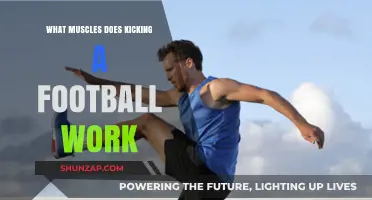 Kicking a Football: Muscles Engaged and Strengthened in Action