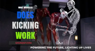 Kicking Power: Muscles Engaged in Every Kick Explained