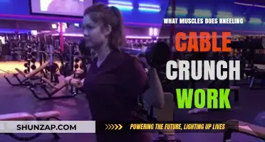 Kneeling Cable Crunch: Targeted Muscles for Core Strength and Definition