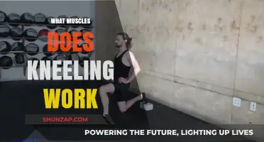 Kneeling Benefits: Targeted Muscles and Strength Training Explained