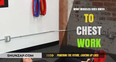 Knees to Chest Exercise: Targeted Muscles and Core Benefits Explained