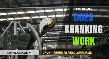 Kranking Workout Benefits: Targeted Muscles and Full-Body Strength Training