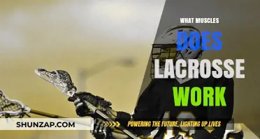 Lacrosse Workout: Targeted Muscles for Strength and Agility