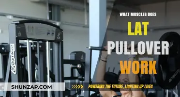Lat Pullover Muscles: Targeted Benefits and Workout Impact Explained
