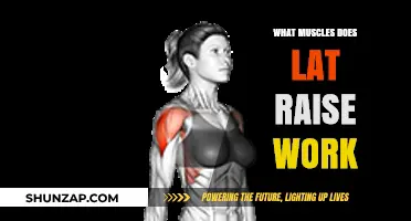 Lat Raise Muscles: Targeted Areas and Benefits Explained