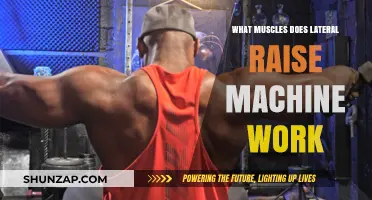 Lateral Raise Machine: Target Muscles and Benefits Explained