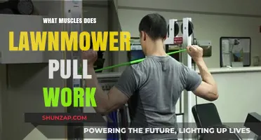 Lawnmower Pull Muscles: Targeted Strength Training Benefits Explained