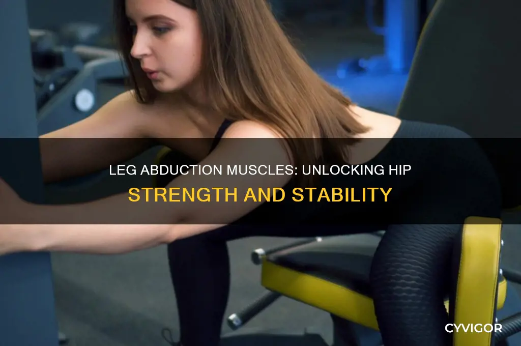 what muscles does leg abduction work