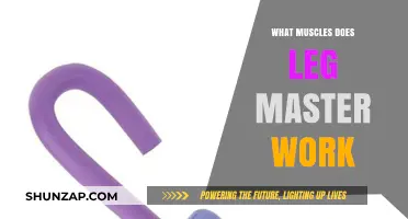 Leg Master Workout: Targeted Muscles and Benefits Explained
